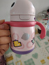 babycare兒童保溫杯嬰兒寶寶吸管水杯霸王龍不銹鋼保溫杯300ml-新舊款混發(fā) 曬單實(shí)拍圖