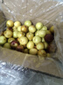 山東沾化冬棗 新鮮脆甜冬棗 時(shí)令生鮮水果 沾化冬棗 中大果（＞12g） 3斤（總凈重1250g） 曬單實(shí)拍圖
