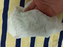北極絨內褲女士純棉100%全棉抗菌襠夏季無(wú)痕中腰大碼莫代爾少女學(xué)生高腰 曬單實(shí)拍圖