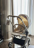 bebebus嬰兒推車(chē)雙向輕便高景觀(guān)兒童推車(chē)可坐可躺嬰兒車(chē)易折疊童車(chē)藝術(shù)家 香檳金 曬單實(shí)拍圖