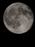三星Galaxy S23 UltraSM-S9180 穩(wěn)勁性能大屏S Pen書寫 全網(wǎng)通5G手機 S23Ultra 悠野綠 12+512GB【港臺版】 曬單實拍圖