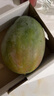 京鮮生 攀枝花凱特芒果 凈重3斤 帶箱3.5斤 單果400g+ 生鮮水果源頭直發(fā) 曬單實(shí)拍圖