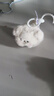 威爾通（WELTSTON）毛絨玩具公仔玩偶中秋節禮物生日禮物 搖尾巴萌犬背包掛件鑰匙鏈 曬單實(shí)拍圖