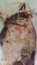 帕爾司阿根廷原切帶芯牛腱子凈重2斤 進(jìn)口生鮮牛肉  醬鹵燉煮   曬單實(shí)拍圖