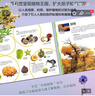 【新華書(shū)店】中國兒童植物百科全書(shū) 6-7-9-10-12歲小學(xué)生科普百科少兒植物知識中國少年兒童百科大全兒童書(shū)籍三四五六年級課外書(shū)閱讀新華正版  正版包郵 中國兒童植物百科全書(shū) 曬單實(shí)拍圖