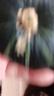正宗貝貝南瓜老南瓜甜糯貝貝小南瓜寶寶輔食新鮮南瓜蔬菜生鮮 貝貝南瓜小果 2斤 帶箱 曬單實(shí)拍圖