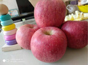【陜西長(cháng)武蘋(píng)果】產(chǎn)地直供紅富士秦脆蜜脆瑞陽(yáng)瑞雪新鮮高海拔蘋(píng)果 蜜脆 10斤裝（凈重9.5斤  普通彩箱裝） 曬單實(shí)拍圖