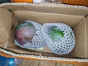 京覓四川攀枝花凱特芒新鮮芒果4.5斤裝單果400g+源頭直發(fā)包郵 曬單實(shí)拍圖