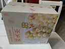 京覓江蘇新鮮芡實(shí)雞頭米 凈重2斤特大顆粒 生鮮蔬菜甜品禮盒 源頭直發(fā) 曬單實(shí)拍圖