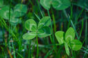 索尼（SONY）E 70-350mm F4.5-6.3 G OSS APS-C畫(huà)幅超遠攝變焦G鏡頭 SEL70350G 曬單實(shí)拍圖
