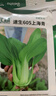 北蔬 小青菜種子苗上海青梗菜油菜種籽 速生605上海青種子50g約2萬粒 曬單實拍圖