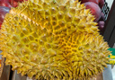 京鮮生 進(jìn)口金枕頭榴蓮 凈重4-5斤 1個(gè)裝  鮮果 生鮮 新鮮水果 曬單實(shí)拍圖