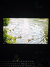 華碩ROG 超神27 PG27UCDM 26.5英寸顯示器OLED4K 240Hz顯示器電競G-sync Type-C杜比視界HDR400 DP2.1 曬單實(shí)拍圖