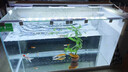 長(cháng)銳（CHANGRUI）側濾魚(yú)缸桌面辦公室免換水生態(tài)水草超白水族箱 K600標配版【長(cháng)63 寬27 高35】 曬單實(shí)拍圖