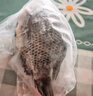 GUO LIAN國聯(lián)水產(chǎn)三去羅非魚(yú)4條共2.8斤凈重非洲鯽魚(yú)水產(chǎn)生鮮食材源頭直發(fā) 曬單實(shí)拍圖