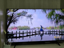 TCL電視 50T6L 50英寸 QD-Mini LED 萬(wàn)象分區 QLED量子點(diǎn) 絢彩XDR 1000nits 超薄 曬單實(shí)拍圖