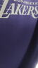 NBA官方騎士/獨行俠/勇士/湖人球隊文化系列男女同款T恤 湖人隊（紫色） L 曬單實(shí)拍圖