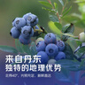 酷奇象 遼寧丹東花香藍莓王【多地次日達】新鮮孕婦L25藍莓禮盒怡顆藍莓 凈重100g-125g*4盒【蕞劃算】 品質(zhì)藍莓【單果15-18mm+】 曬單實(shí)拍圖