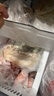西貝莜面村福氣豬豬包300g 6個(gè) 卡通包香薯餡 早餐包子 生鮮面點(diǎn) 曬單實(shí)拍圖