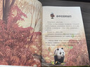【當當】熊貓康吉的遠行 孩子你終將長(cháng)大 熊貓康吉大禮包（書(shū)+手賬本+帆布袋+徽章兩個(gè)）動(dòng)物小說(shuō)大王沈石溪兒童文學(xué)書(shū)單小學(xué)生課外書(shū)閱讀必讀書(shū)籍有三個(gè)結尾的故事世界少年經(jīng)典文學(xué)叢書(shū)羅大里著(zhù)三年級課外書(shū) 熊 曬單實(shí)拍圖