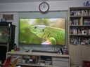 Vidda 發(fā)現(xiàn)X Pro 2026款 85英寸 300Hz超高刷低反屏 2940分區(qū)QD-Mini LED 國(guó)家補(bǔ)貼海信電視85VX5Q-PRO 曬單實(shí)拍圖