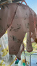 英氏【商場(chǎng)同款】?jì)和揖臃弦滤募灸型律鷥喊氡骋滦驴?睡蓮天鵝湖 52 cm （建議0-1個(gè)月） 曬單實(shí)拍圖