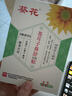葵花小兒童蒼耳子油草本舒鼻膏貼感冒貼鼻舒通氣鼻貼鼻塞通鼻敏靈神器 曬單實(shí)拍圖
