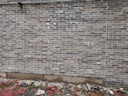 青磚仿古磚圍墻庭院地磚中式古建面磚外墻青磚片墻面磚文化磚 12*24 曬單實(shí)拍圖