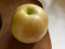 京鮮生 長(cháng)城玉露香梨 山西 凈重5斤 單果150g+ 生鮮水果禮盒 曬單實(shí)拍圖