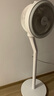 美的（Midea）電風(fēng)扇 空氣循環(huán)扇家用立式落地大風(fēng)力搖頭落地扇電扇桌面臺扇輕音低噪小風(fēng)扇 FGA24TS 曬單實拍圖