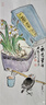 艾丁格德國原裝原瓶進(jìn)口艾丁格小麥啤酒精釀啤酒 愛(ài)丁戈黑啤 500mL 12瓶 11月30到期 曬單實(shí)拍圖