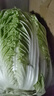 【冬儲菜】新鮮黃心大白菜霜打大白菜現砍現發(fā)火鍋早餐炒菜 9-10斤 曬單實(shí)拍圖