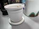 千里江山辦公杯水杯高檔陶瓷茶水分離杯馬克杯帶蓋泡茶杯 白色 450ml 曬單實(shí)拍圖