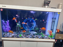 森森（SUNSUN）大型魚(yú)缸底過(guò)濾水族箱客廳家用落地玻璃生態(tài)金魚(yú)缸 【實(shí)時(shí)溫顯】1.2米長(cháng)42cm寬（黑白灰可選） 曬單實(shí)拍圖