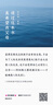 MissWiss鯊魚(yú)褲女薄款顯瘦收腹提臀瑜伽褲外穿打底褲 北歐灰-四季款 M 曬單實(shí)拍圖