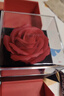 周大金 CHOW TAI KING四葉草銀項(xiàng)鏈女2025新款輕奢小眾感溫變色吊墜生日禮物送女友老婆 曬單實(shí)拍圖