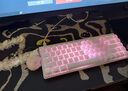 邁從（MCHOSE）Ace 68/60Pro磁軸鍵盤(pán) RT電競游戲客制化機械有線(xiàn)連接全鍵熱插拔雙驅動(dòng)無(wú)畏契約 Ace 68 電競版 白等高線(xiàn) 冰犀磁軸 曬單實(shí)拍圖