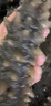 珍品堂 大連即食海參開(kāi)袋即食 新鮮遼參獨立包裝  海鮮水產(chǎn) 中秋送禮物 【大連高品遼參】即食2斤24-32 只 曬單實(shí)拍圖