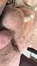 野獸派家居（tbh）啊嗚河馬條形抱枕客廳辦公室抱枕睡覺(jué)枕頭靠墊車(chē)載抱枕21X110cm 曬單實(shí)拍圖