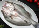 黃小漁三去海鱸魚(yú)2斤/2條 開(kāi)背鱸魚(yú) 生鮮 魚(yú)類(lèi) 海鮮水產(chǎn)夜宵燒烤食材 曬單實(shí)拍圖