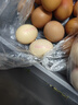 圣迪樂(lè )村 可生食新鮮雞蛋30枚禮盒裝凈重3斤 無(wú)抗生素谷糧喂養 曬單實(shí)拍圖