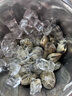 鮮活大花蛤300g（18-26粒） 曬單實(shí)拍圖