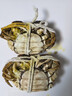 久意盛田刺身醬油 日本進(jìn)口 壽司海鮮三文魚(yú)刺身生魚(yú)片醬油200ml 曬單實(shí)拍圖