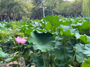 一號農場(chǎng)開(kāi)袋即食意式風(fēng)情沙拉150g*3混合蔬菜沙拉包輕食健身代餐源頭直發(fā) 曬單實(shí)拍圖