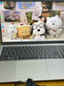 戴爾（DELL） Pro靈越15大屏輕薄本3530 15.6英寸超極本女大學(xué)生家用便攜學(xué)習辦公游戲商務(wù)手提筆記本電腦 15Pro辦公【酷睿 3 120Hz高刷屏】 16G內存/1TB高速固態(tài)【進(jìn)階定制 曬單實(shí)拍圖