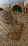 小鳥(niǎo)吃的蟲(chóng)子適口高蛋白斑鳩珍珠鳥(niǎo)鸚鵡幼崽專(zhuān)用食物飼料面包蟲(chóng)干 1罐裝【飯后小零食】365ml 曬單實(shí)拍圖