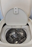 榮事達（Royalstar）全自動(dòng)洗烘一體迷你內衣褲懶人小型波輪洗衣機母嬰洗襪子機高溫煮洗殺菌以舊換新國家補貼20% 【蛋可白新升級高溫款】95℃高溫洗+不銹鋼內筒波輪 曬單實(shí)拍圖