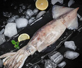 海捕大魷魚(yú)整條無(wú)包冰新鮮鮮活冷凍新鮮超大魷魚(yú)尤魚(yú)整只海鮮生鮮 整個(gè)大魷魚(yú)【1斤裝】 曬單實(shí)拍圖