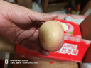 阿克蘇蘋(píng)果正宗新疆阿克蘇冰糖心蘋(píng)果當季應季新鮮時(shí)令水果整箱紅富士丑蘋(píng)果 【實(shí)惠裝】?jì)糁?.5斤單果70-80mm 曬單實(shí)拍圖