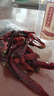愛(ài)蜀味二荊條辣椒80g 罐裝 正宗四川辣椒 香辣長(cháng)干海椒 微辣特香干辣椒 曬單實(shí)拍圖